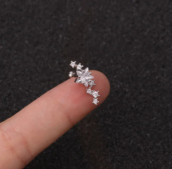 Stainless Steel Star Zirconia Screw Earrings (Pierced)